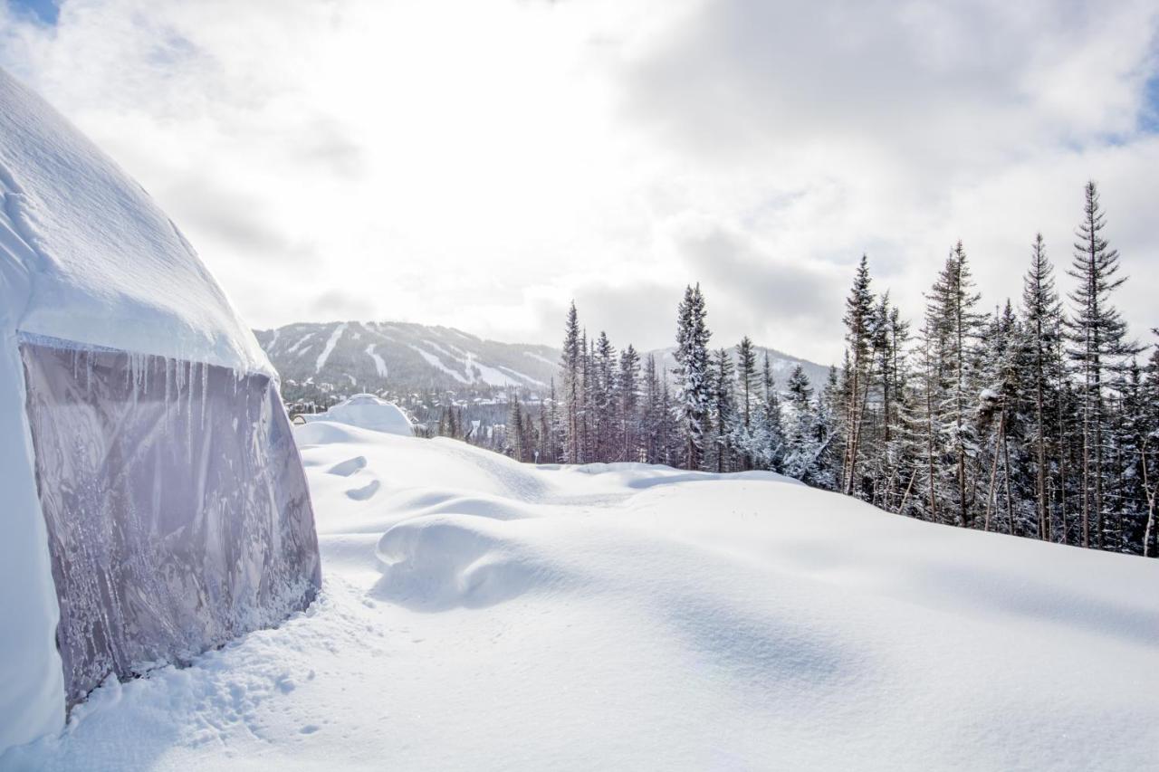 Imago Village Saint-David-de-Falardeau Bagian luar foto
