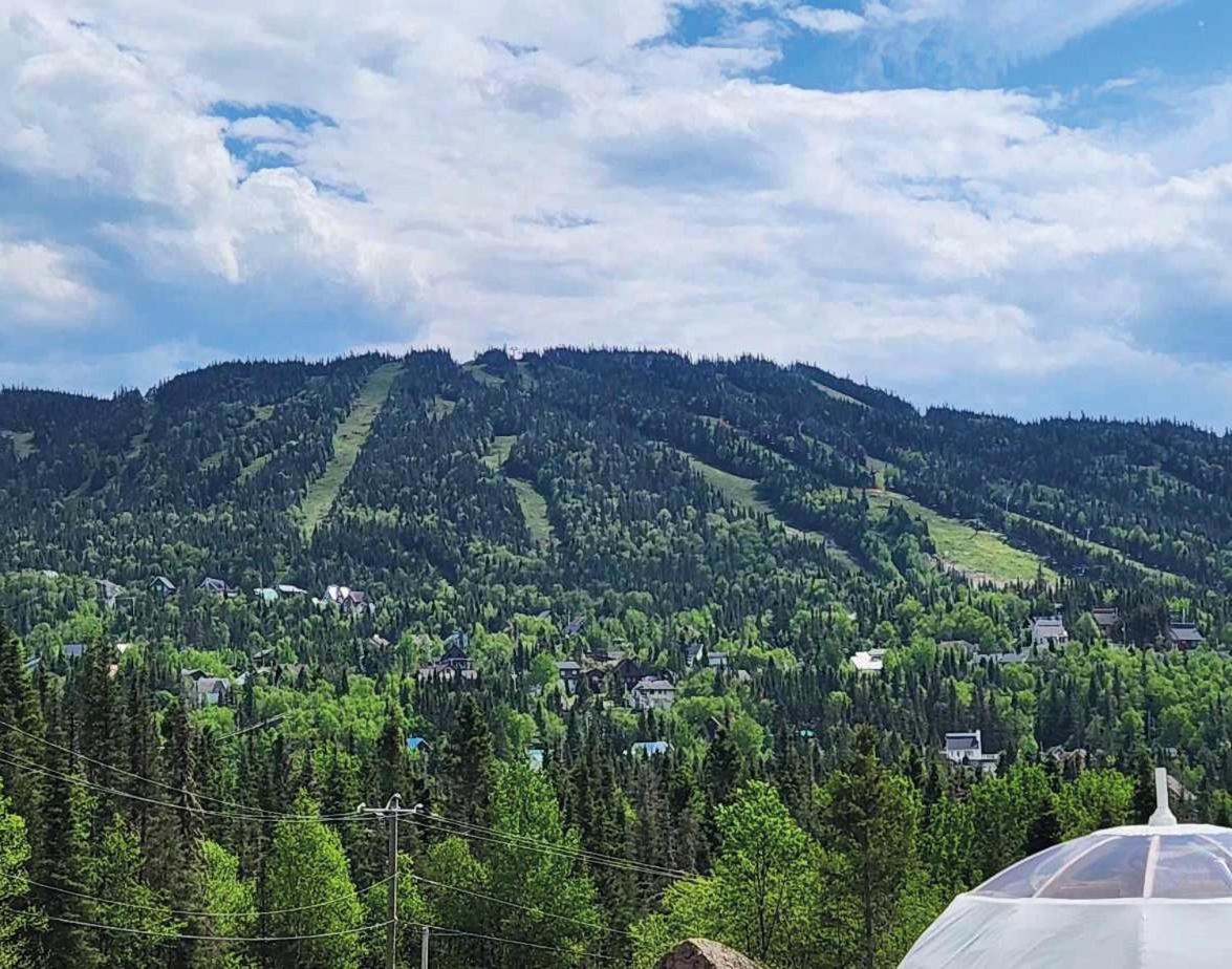 Imago Village Saint-David-de-Falardeau Bagian luar foto