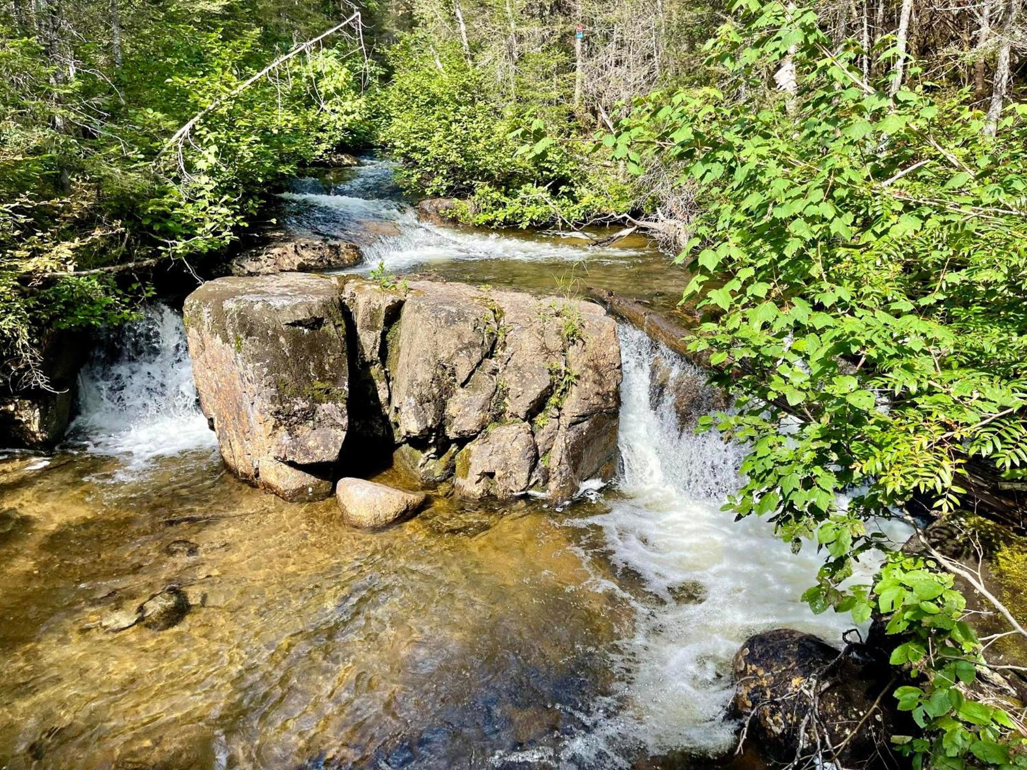 Imago Village Saint-David-de-Falardeau Bagian luar foto