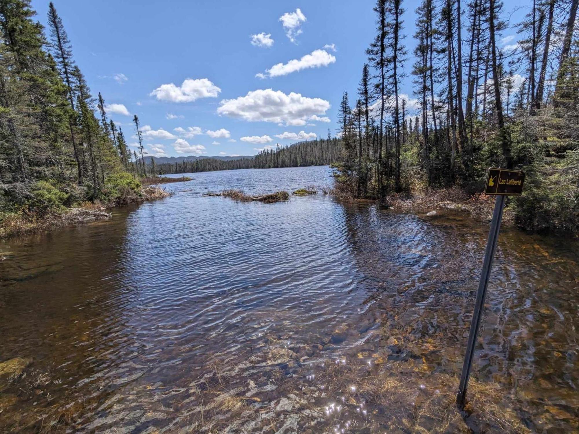 Imago Village Saint-David-de-Falardeau Bagian luar foto