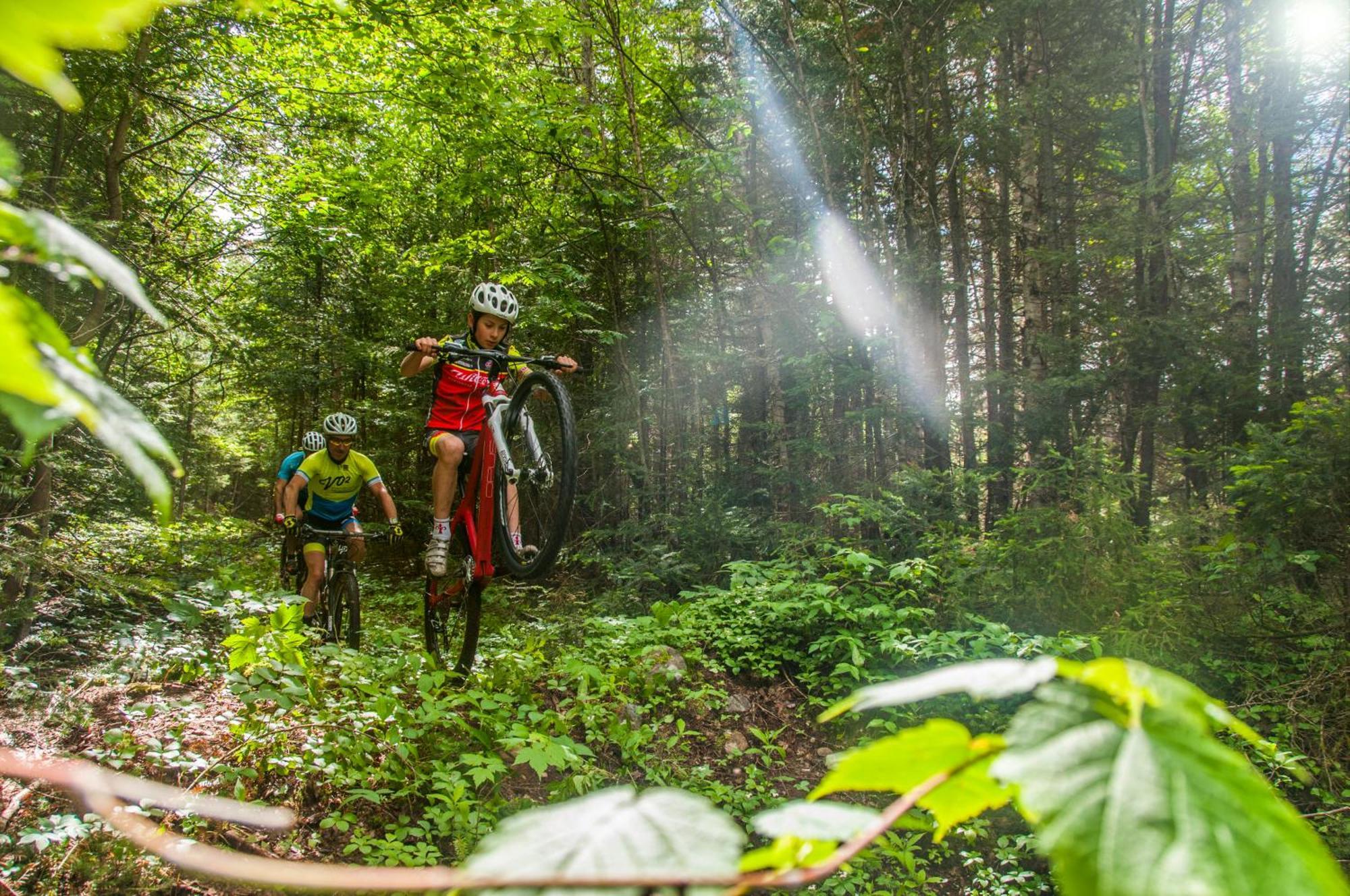 Imago Village Saint-David-de-Falardeau Bagian luar foto