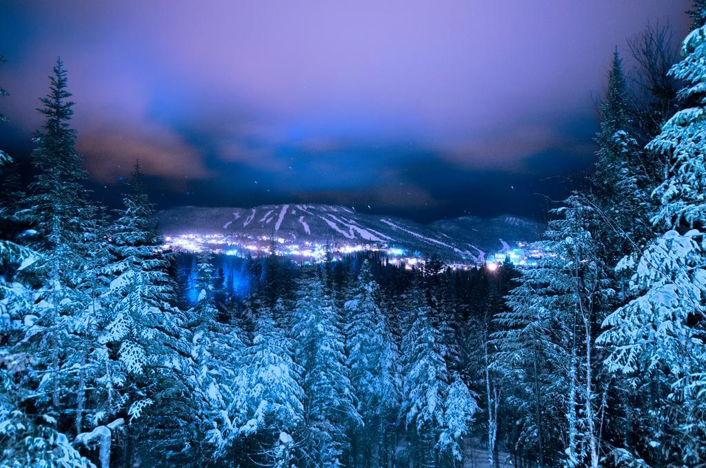Imago Village Saint-David-de-Falardeau Bagian luar foto