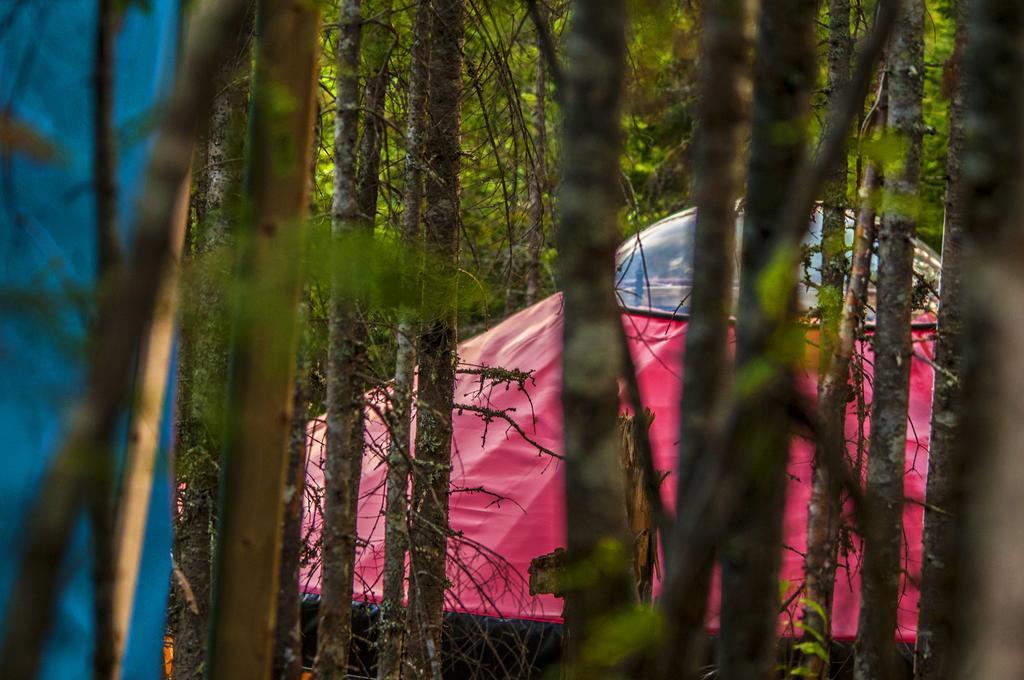 Imago Village Saint-David-de-Falardeau Bagian luar foto